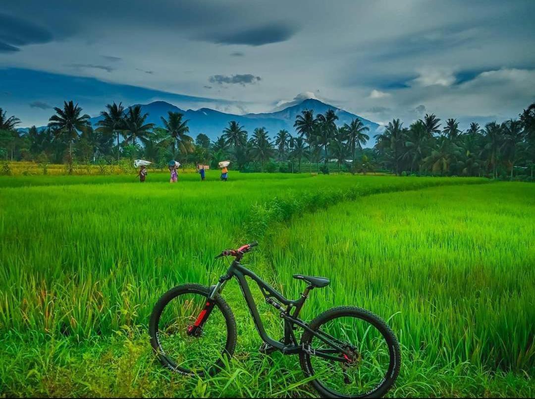 Peraja Bungalows Loyok Sangyang Exterior foto
