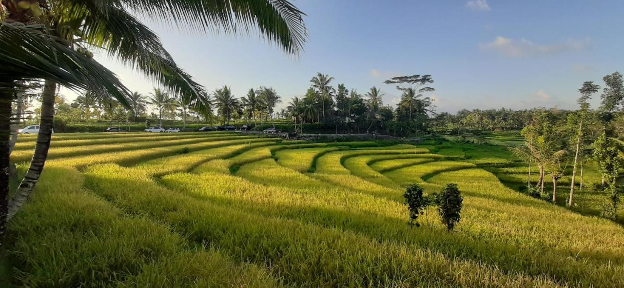 Peraja Bungalows Loyok Sangyang Exterior foto