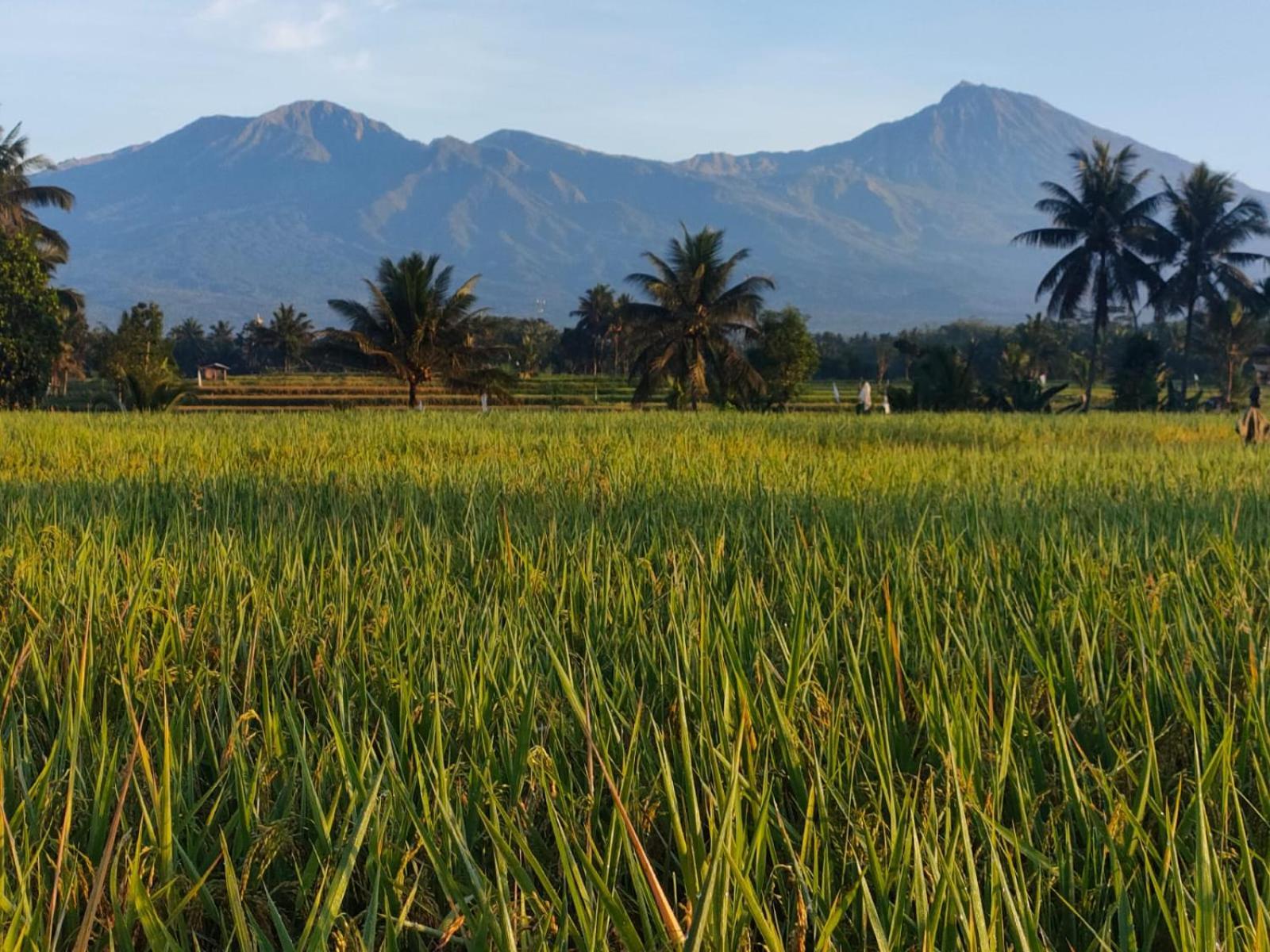 Peraja Bungalows Loyok Sangyang Quarto foto